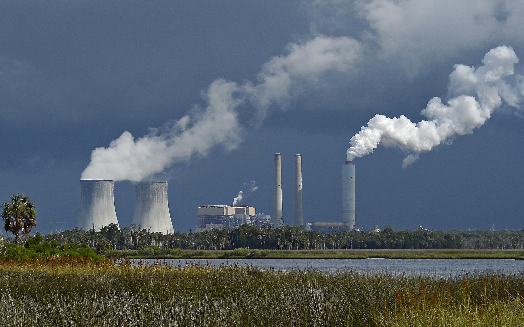 Crystal River Power Plant